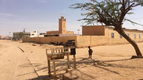 Ziegen gibt es überall in Agadez (Niger) - Arbeit dagegen kaum