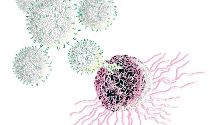 Tumorbehandlung mit Car-T-Zellen
