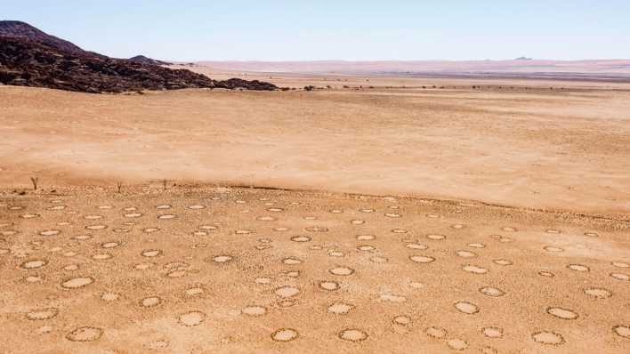 Feenkreise im Wüstensand in der Namib-Wüste