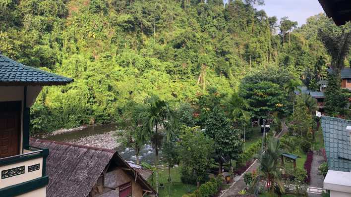 Bukit Lawang. Das Dorf am Eingang zum Nationalpark.