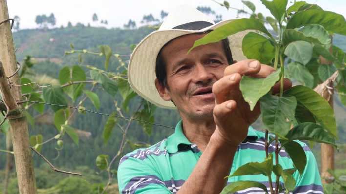 Kaffeefarmer Ruben Dario Romero (Bild: rbb/Jörg Poppendieck)