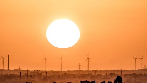 Sonne hinter Windrädern in Berlin (Quelle: imago/photothek)