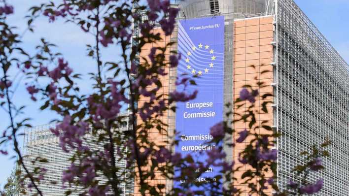 Im Bild ist ein blühender Strauch und im Hintergrund das Gebäude der Europäischen Kommission zu sehen. (Bild: imago images/Christian Spicker) Im Bild ist ein blühender Strauch und im Hintergrund das Gebäude der Europäischen Kommission zu sehen. (Bild: imago images/Christian Spicker)