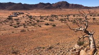 Wüste Namib in Namibia (Bild: Jörg Poppendieck/Inforadio)