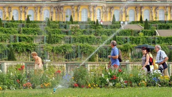 Die Rasensprenger im Park von Sanssouci laufen während einer Hitzewelle im Jahr 2010. (Bild: dpa) Die Rasensprenger im Park von Sanssouci laufen während einer Hitzewelle im Jahr 2010. (Bild: dpa)