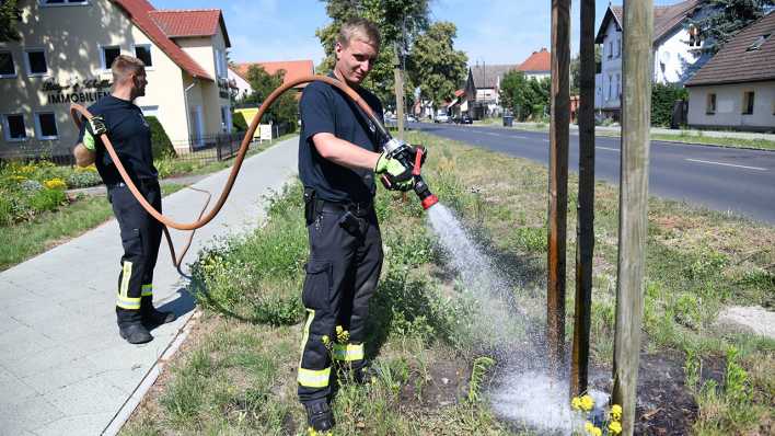 Die Feuerwehr Falkensee bewässert die Jungbäume im Stadtgebiet (Quelle: dpa/Julian Stähle) Die Feuerwehr Falkensee bewässert die Jungbäume im Stadtgebiet (Quelle: dpa/Julian Stähle)