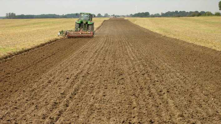 Ein Traktor auf einem Acker nahe Blumberg im Landkreis Barnim (Bild: imago images/Hohlfeld) Ein Traktor auf einem Acker nahe Blumberg im Landkreis Barnim (Bild: imago images/Hohlfeld)