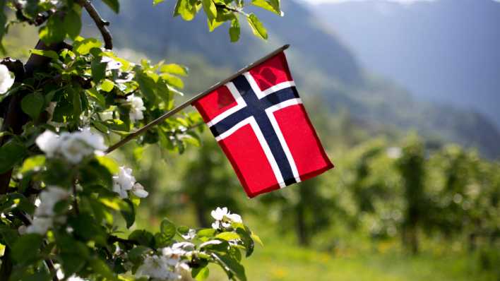 Eine norwegische Flagge hängt in einem Strauch (Foto: Imago Images / Panthermedia)