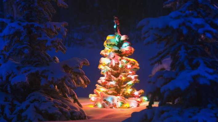 Geschmückter Weihnachtsbaum in einem winterlichen Wald