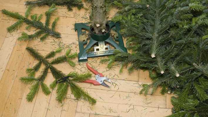 Weihnachtsbaumständer Christbaumständer (Bild: imago images)