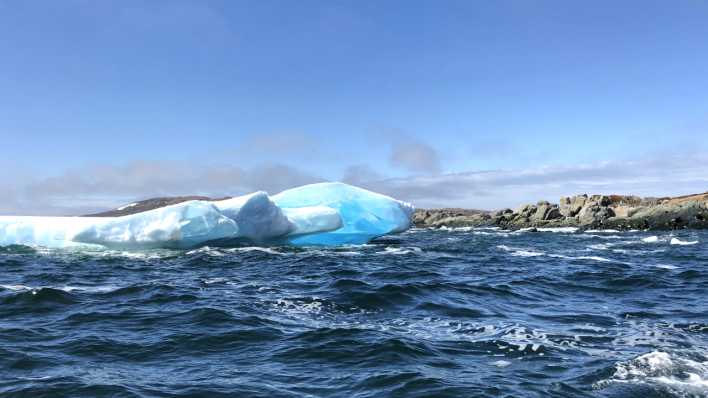 Ein Eisberg vor der Küste Neufundlands (Foto: rbb / Tina Witte)