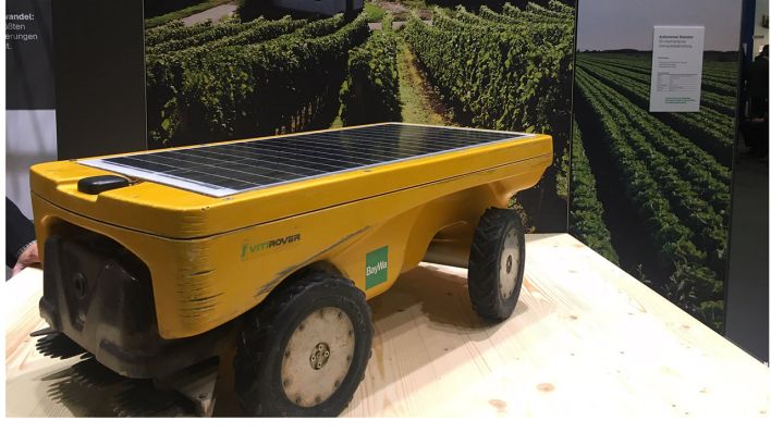 Solarbetriebener Feldroboter, der zwischen Weinreben autonom Rasen mäht (Bild: rbb/ Franziska Ritter)