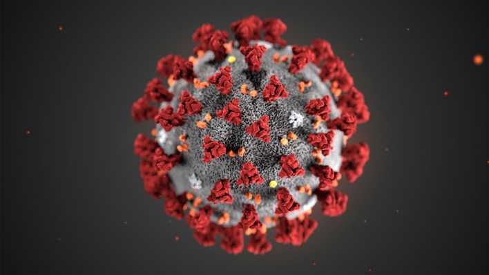 Illustration: Coronavirus vergrößert unter dem Mikroskop (Bild: dpa/ Centers for Disease Control)