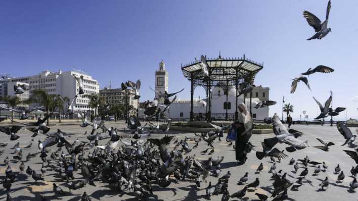 Tauben fliegen in Algier.