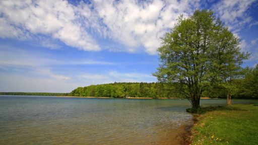 Großer Stechlinsee