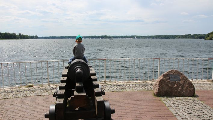 Blick vom Kanonenplatz auf den Tegler See (Bild: rbb/ Aleksandra Karolczyk)