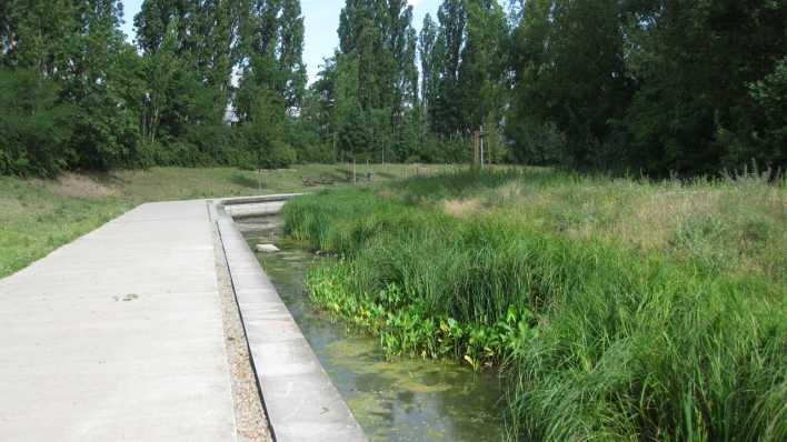 Südpankepark nördlich der Habersaathstraße