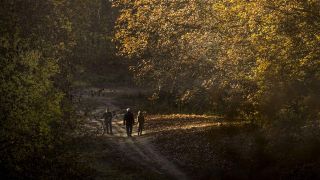 Spaziergang im Herbst.