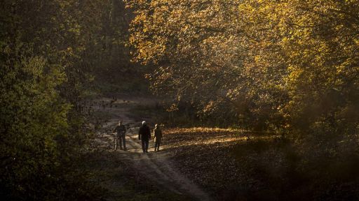 Spaziergang im Herbst.