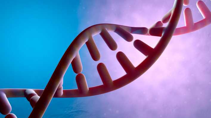 Dreidimensionale Darstellung der DNA Doppelhelix Dreidimensionale Darstellung der DNA Doppelhelix