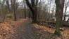 Waldwanderweg entlang des langen Sees