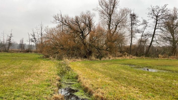 Impressionen vom Winterspaziergang rund um Lübars