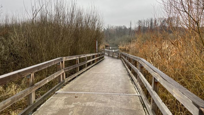 Impressionen vom Winterspaziergang rund um Lübars