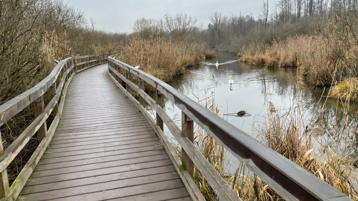 Impressionen vom Winterspaziergang rund um Lübars