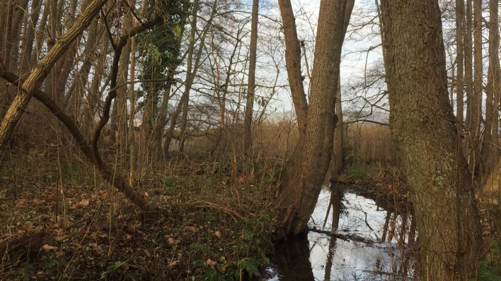 Spaziergang um den Summter See