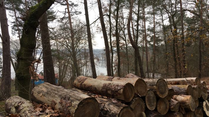 Wanderung rund um den Teupitzer See