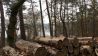 Wanderung rund um den Teupitzer See
