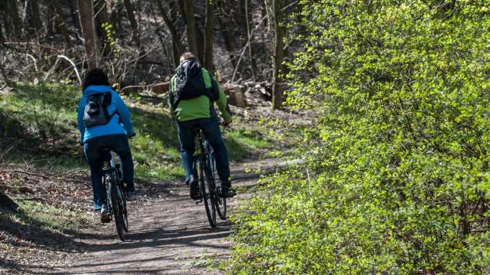 Zwei Radfahrer fahren in Berlin durch einen Wald am Großen Wannsee (Bild: picture alliance / dpa)