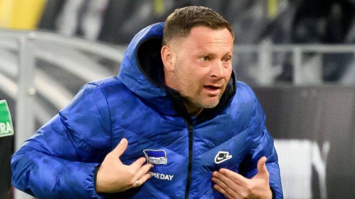 Hertha-Trainer Pal Dardai gestikuliert (Foto: imago images / Poolfoto)