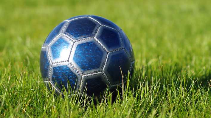 Ein blauer Ball liegt auf einem grünen Rasen (Bild. Colourbox)