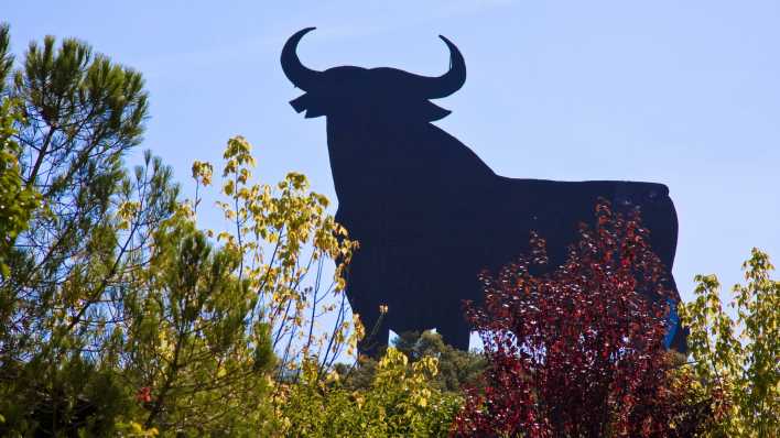 Der sogenannten Osborn-Stier (Foto: imago images / Blickwinkel)