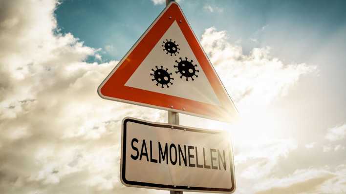 Fotomontage: Warnschild mit der Aufschrift Salmonellen