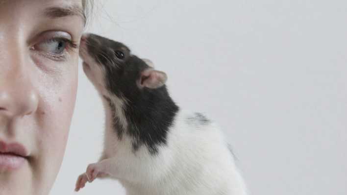 Junge Frau mit einer Ratte