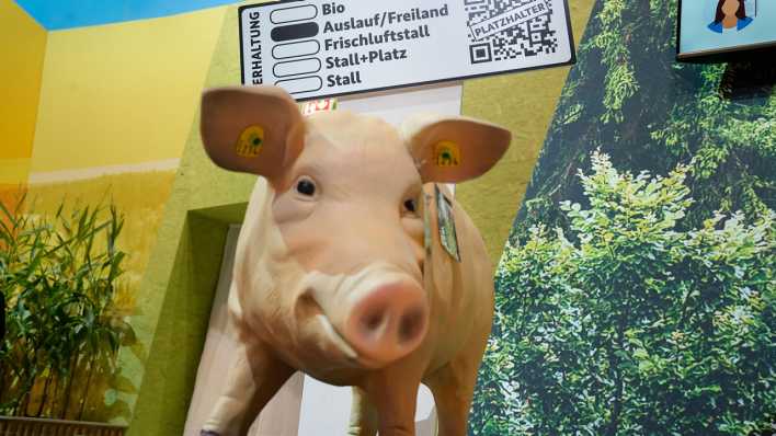 Tierwohl: Entwurf des Bundesministerium fuer Ernährung und Landwirtschaft über eine Tierhaltungskennzeichnung (Bild: picture alliance / Flashpic)