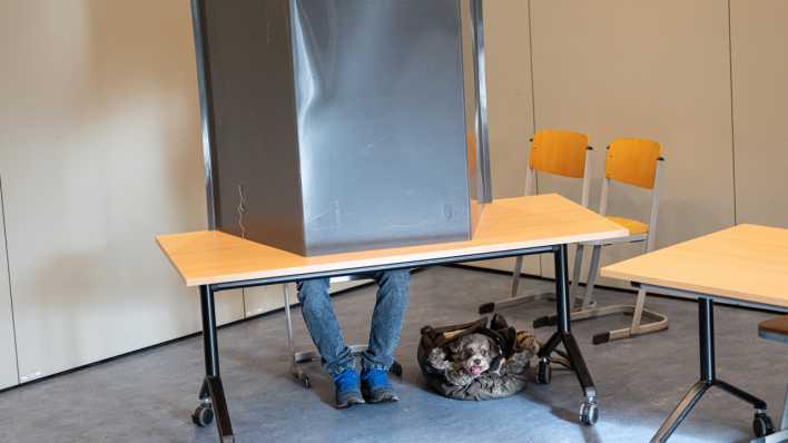 Ein Hündchen und sein Herrchen an der Wahlurne in Berlin.