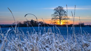 Der Sonnenaufgang leuchtet am frühen Morgen über der winterlich verschneiten Landschaft im Landkreis Märkisch-Oderland in Ostbrandenburg.