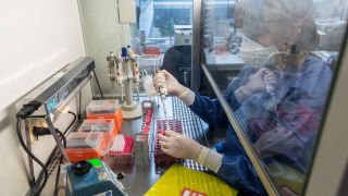 Eine Medizinisch-technische Assistentin bereitet auf einer mikrobiologischen Sicherheitswerkbank im Sicherheitslabor im TU-Institut für Medizinische Mikrobiologie, Hygiene und Virologie im Uniklinikum Dresden Proben von Patienten für die Virus-Diagnostik (PCR, Polymerase Kettenreaktion) auf das Coronavirus vor.