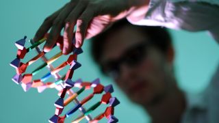 Symbolbild: Ein Mann betrachtet in Hamburg ein DNA-Modell