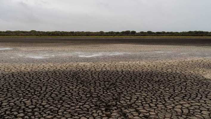 Durch Hitze und Dürre in Spanien trocknen viele Wassergebiete im Doñana Nationalpark aus.