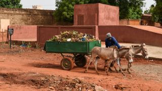 Ein Mann transportiert mit einem Wagen kompostierbare Abfälle im Rahmen eines Entwicklungsprojekts in Sikasso, Mali.