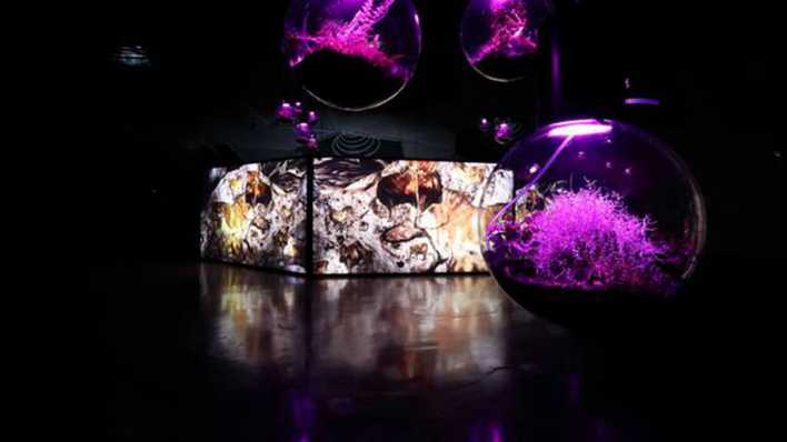 Gallery Weekend Berlin 2023_Galerie Esther Schipper zeigt Variation von Hito Steyerls "Environments Animal Spirits" von 2022_foto: Hito Steyerl, VG Bild-Kunst/Kunsthaus Graz/J.J. Kucek