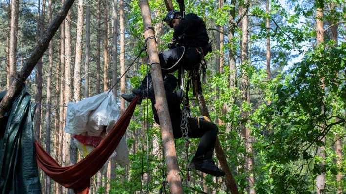 Ein Aktivist wird von einem Polizeibeamten (oben) aus einem Baumhaus in einem Waldstück in der Wuhlheide geholt