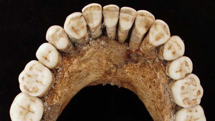 Symbolbild: Der Unterkiefer eines etwa 20-jährigen, vermutlich männlichen Neandertalers, der 1957 im französischen Le Regourdou entdeckt wurde