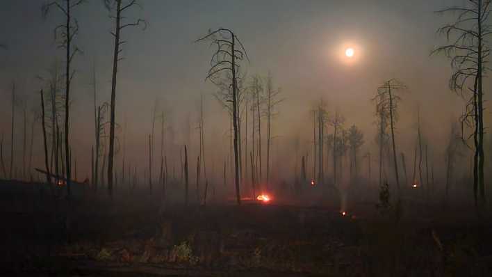Flammen lodern bei einem Waldbrand auf dem ehemaligen Truppenübungsplatz bei Jüterbog (Bild: dpa / Cevin Dettlaff)