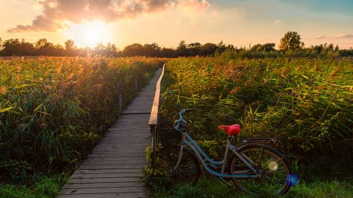 Schöne Landschaft mit Sonnenuntergang