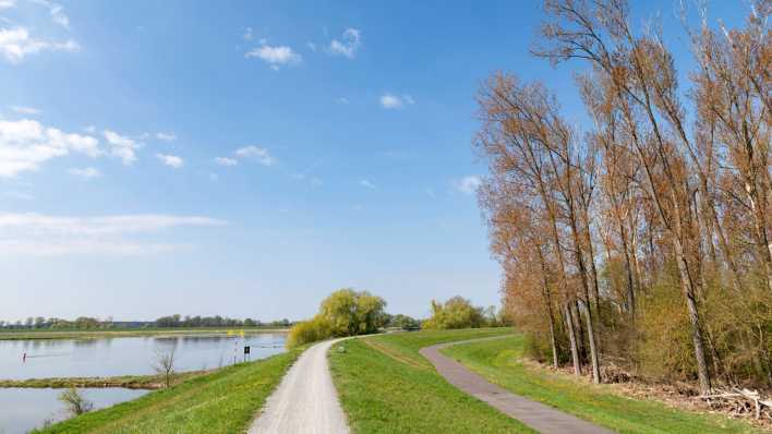 Fahrradweg bei Wittenberge entlang der Elbe